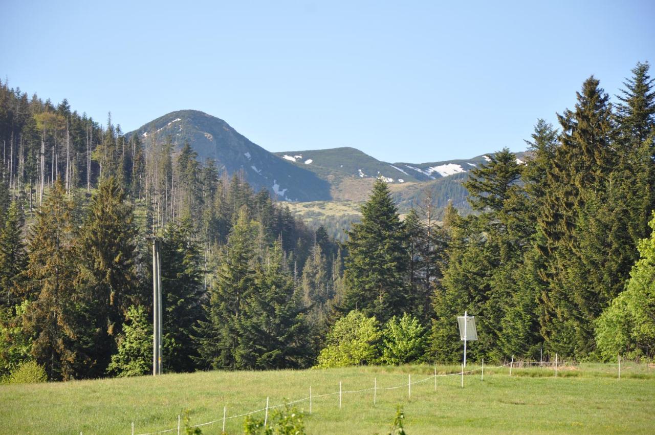 Apartamenty "U Blizniakow" Zakopane Luaran gambar