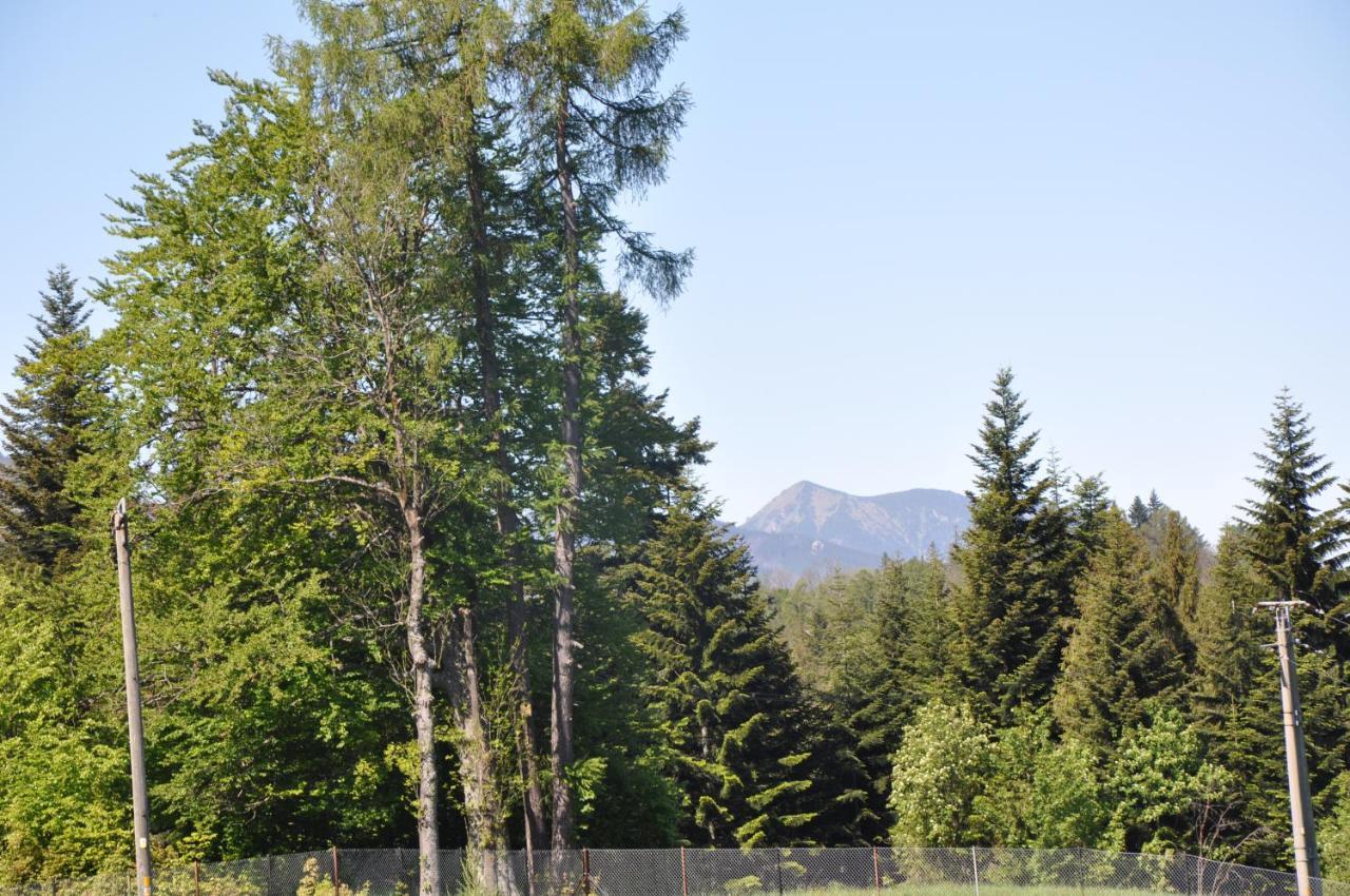 Apartamenty "U Blizniakow" Zakopane Luaran gambar