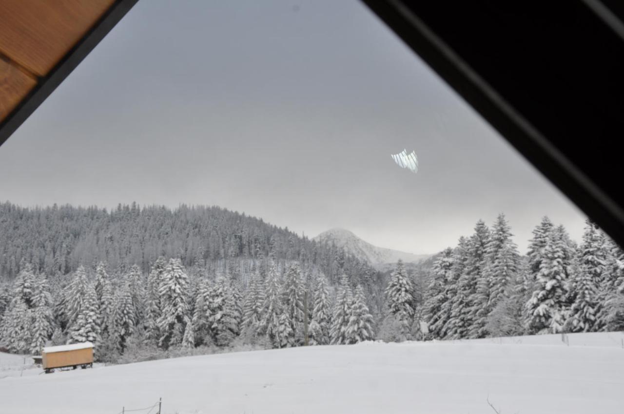 Apartamenty "U Blizniakow" Zakopane Luaran gambar