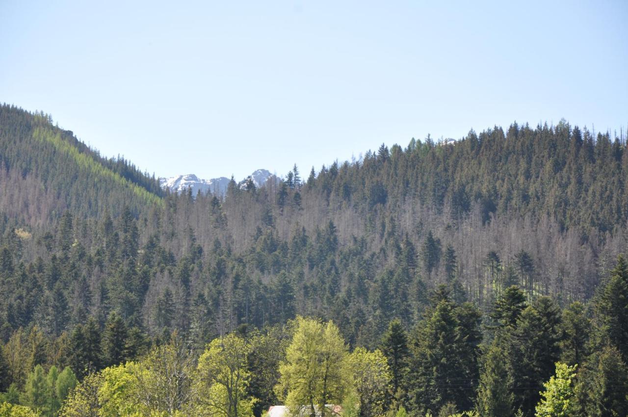 Apartamenty "U Blizniakow" Zakopane Luaran gambar