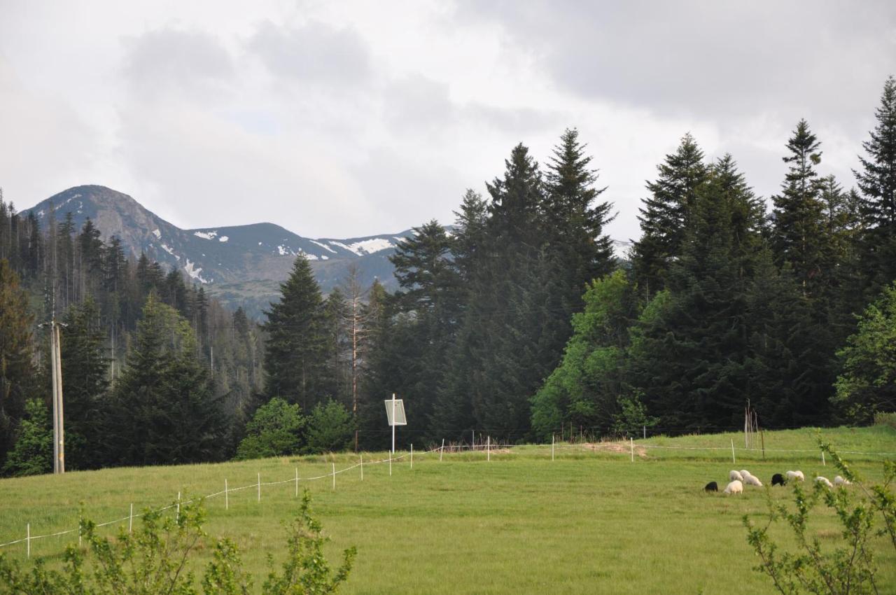 Apartamenty "U Blizniakow" Zakopane Luaran gambar