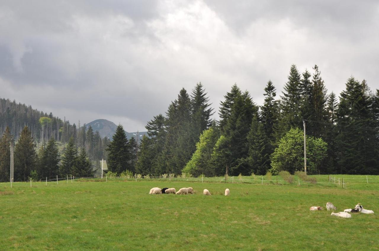 Apartamenty "U Blizniakow" Zakopane Luaran gambar