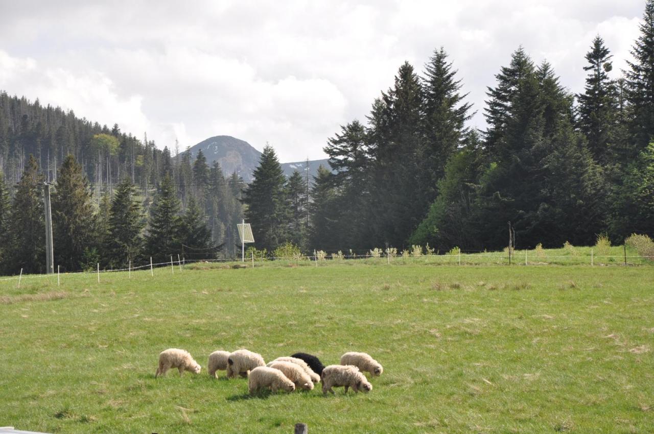 Apartamenty "U Blizniakow" Zakopane Luaran gambar