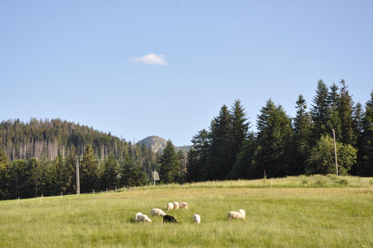 Apartamenty "U Blizniakow" Zakopane Luaran gambar